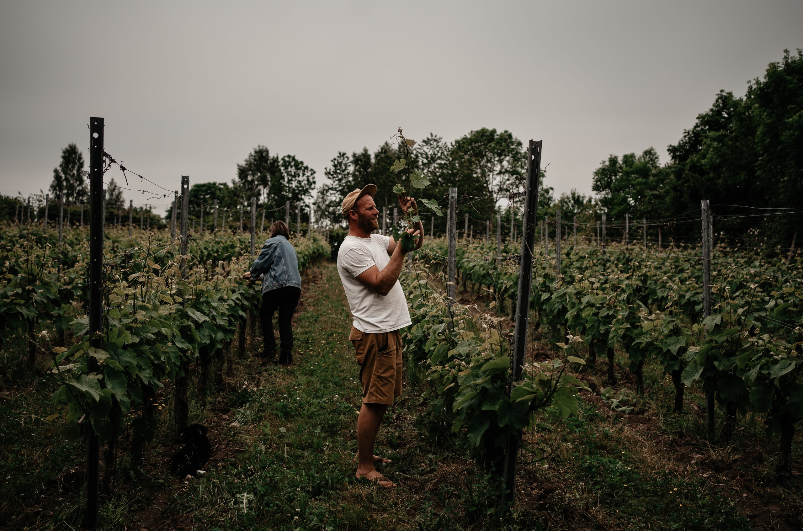 Fotograf: Claudia, The Grape Journal