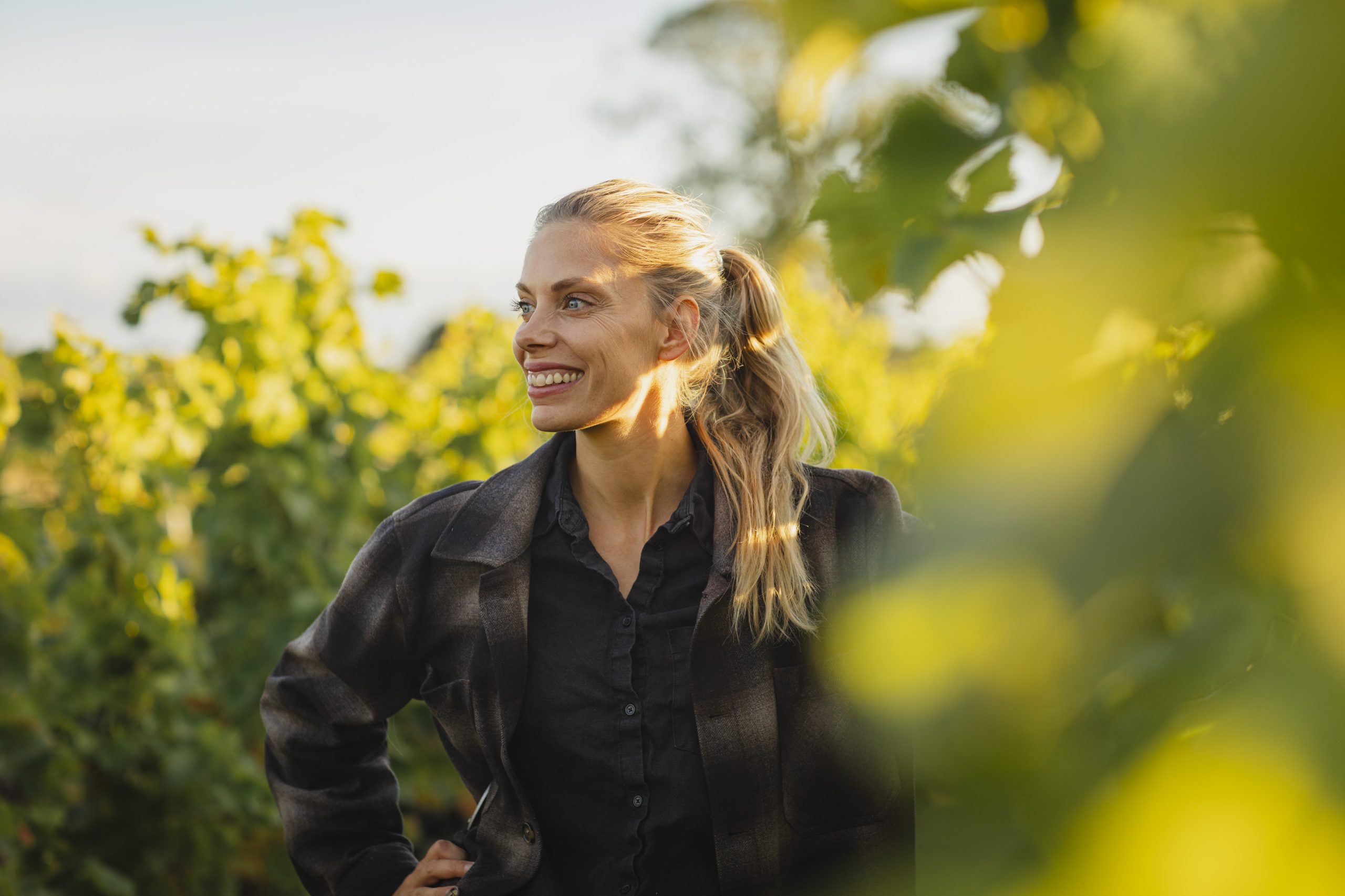 Aftonmora Vingård & Friesians